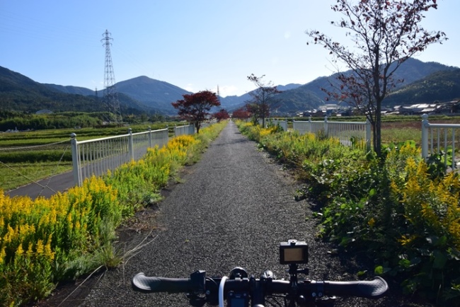 加悦岩滝自転車道