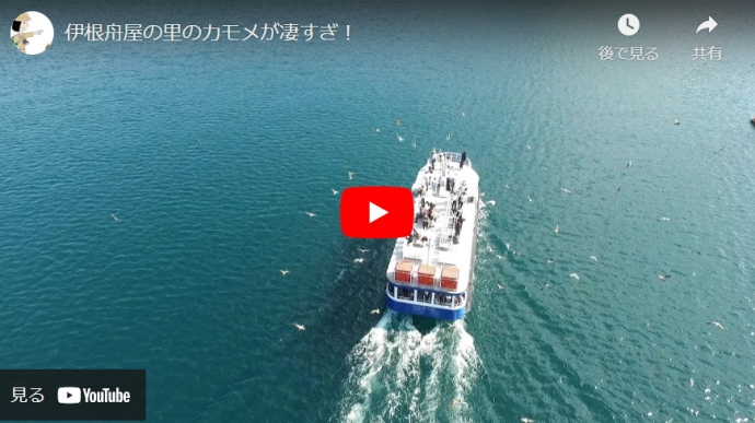 �ɍ��M���̗��̊ό�