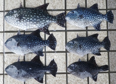 �A�~�����K��