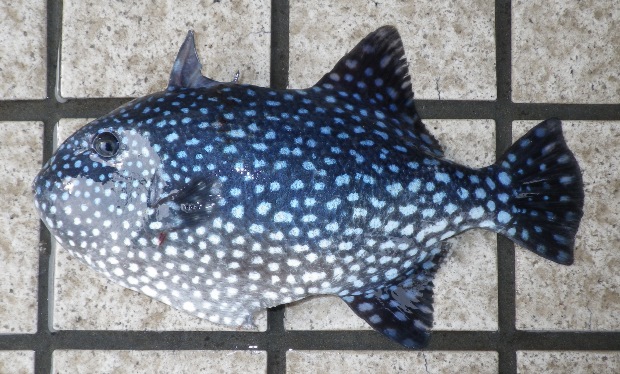 �A�~�����K��