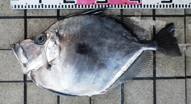 �J�K�~�_�C