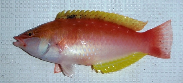 �z�V�T�T�m�n�x��