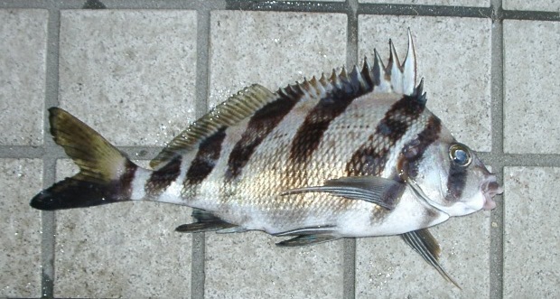 ���E�_�`�^�J�m�n