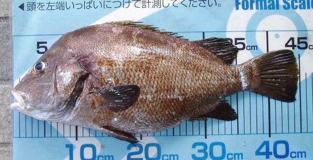 �q�Q�\���_�C