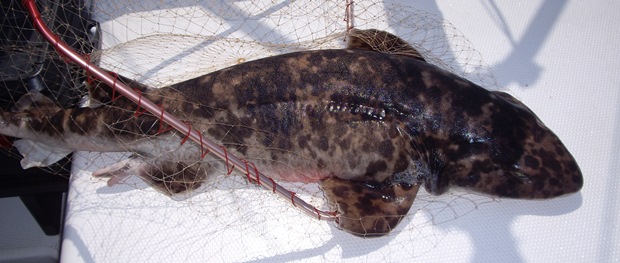 �i�k�J�U��