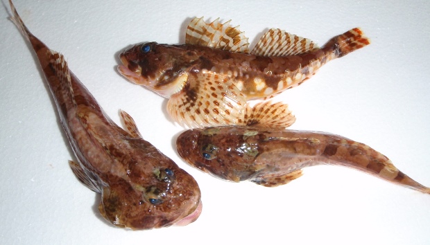 �j�W�J�W�J