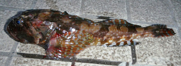 �j�W�J�W�J