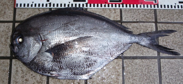 �V�}�K�c�I