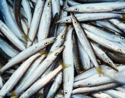 ���}�g�J�}�X