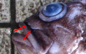 �^�k�L���o��