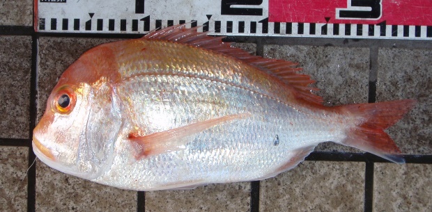 �����R�_�C