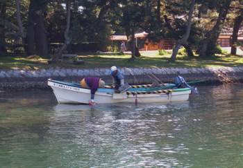 �V�����̃A�T����