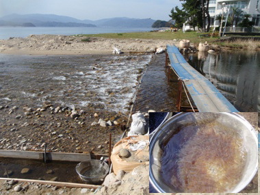 �C�T�U��ȋ�