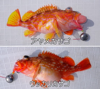 釣り魚図鑑
