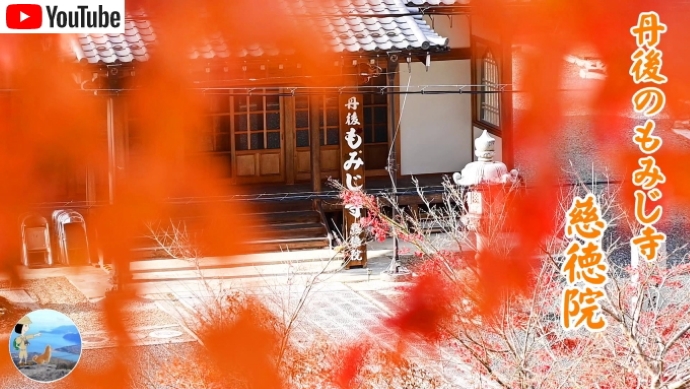 丹後のもみじ寺 慈徳院