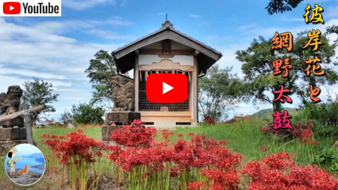 彼岸花と網野神社