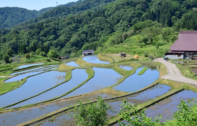 �㐢���@�I�c