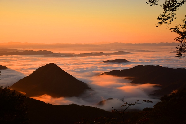 ��]�R�_�C�X�|�b�g