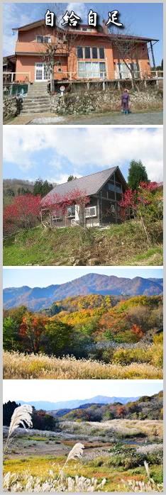 �R�e�[�W�@��������