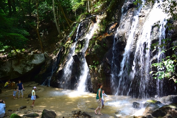 �{�� �����̑�