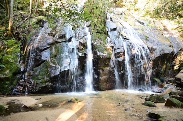 �����̑�