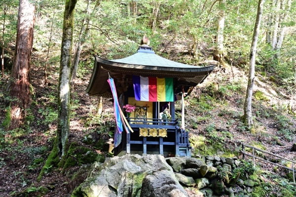 �������s����