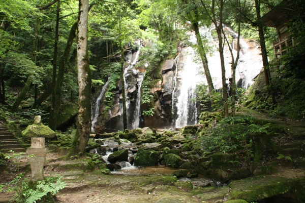 �������̑�