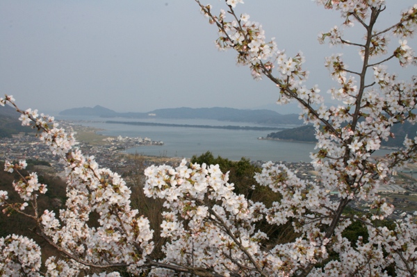 �ꎚ�ό����̍��R