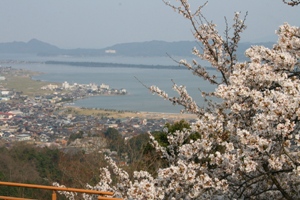 一字観公園の桜