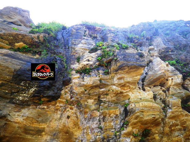 �R�A�W�I�p�[�N