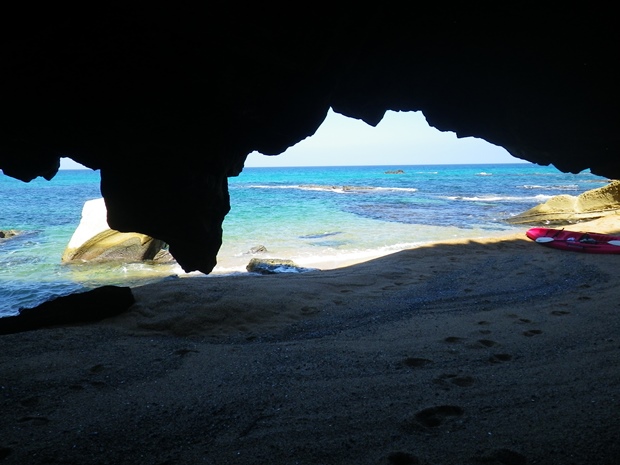 �R�A�W�I�p�[�N