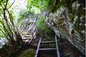 �͂�����