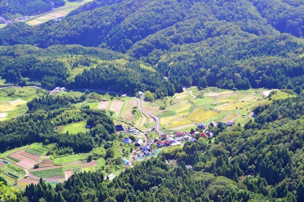 �r���[�|�C���g