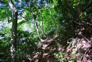 �t�R�o�R��