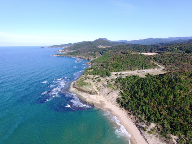 �Ո��l�V�C������