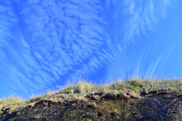 �Ո����̋�