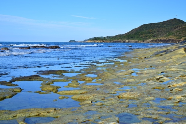 �}���̓��D��