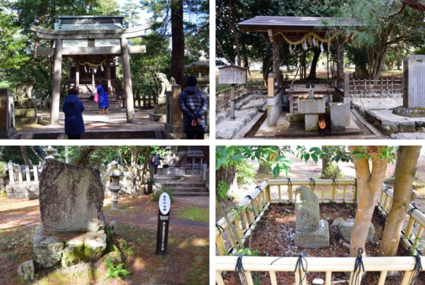 �V�����_��