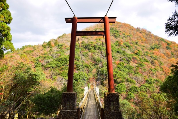 �V���q��