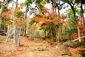 �V��������