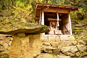 �����ǎu�r�_