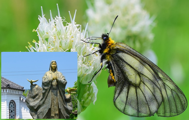 �א�K���V��