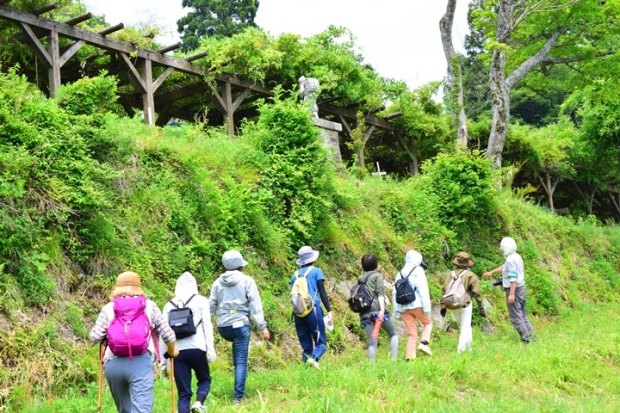 �O�㗢�R�E�H�[�L���O