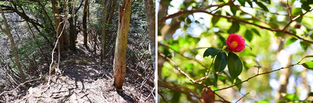 �����R�o�R��