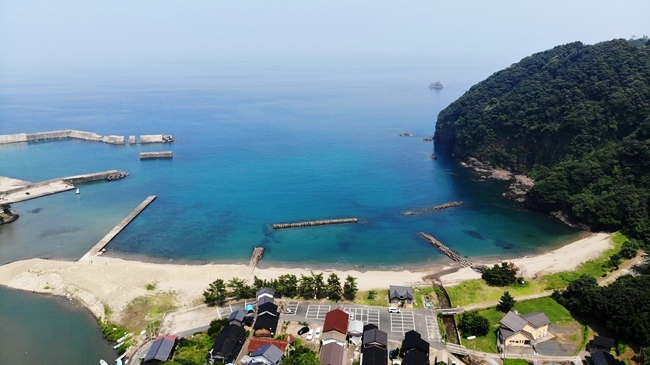 �{���l�C������