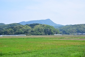 �˒x�����R