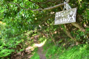 �����ł����Ղ�