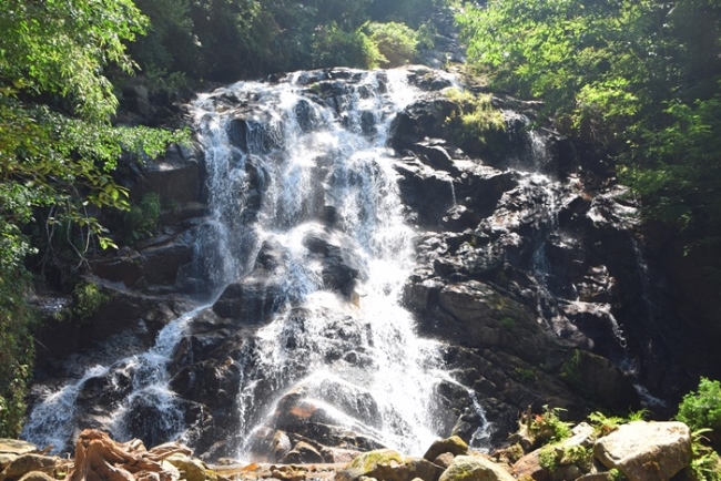 �����̑�