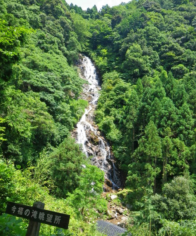 �����̑�