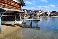 ���h�C�@�M��